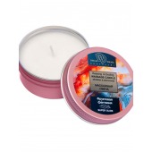 Массажная свеча  Фруктовая фантазия - БиоМед - купить с доставкой в Сочи