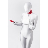 Красный ошейник с подкладкой из меха - ToyFa - купить с доставкой в Сочи