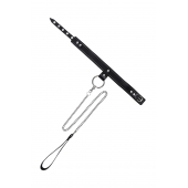 Черный узкий однослойный ошейник с серебристым поводком-цепочкой - Pecado - купить с доставкой в Сочи