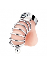 Серебристая клетка для члена Urethral Play Cage - BlueLine - купить с доставкой в Сочи