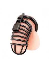 Черная металлическая клетка с замком Deluxe Chastity Cage - BlueLine - купить с доставкой в Сочи