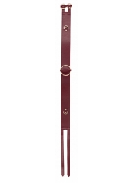 Бордовый ремень Halo Waist Belt - размер L-XL - Shots Media BV - купить с доставкой в Сочи