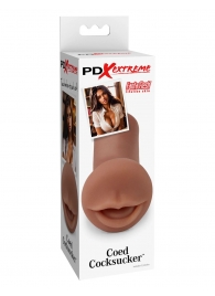Мастурбатор-ротик Coed Cocksucker - Pipedream - в Сочи купить с доставкой