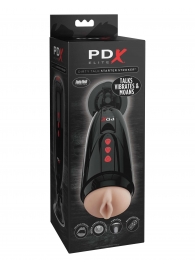 Мастурбатор-вагина с вибрацией Dirty Talk Starter Stroker - Pipedream - в Сочи купить с доставкой