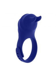 Синее эрекционное виброкольцо с клиторальной подушечкой и пультом ДУ Adjustable Fun Ring - Zero Tolerance - в Сочи купить с доставкой