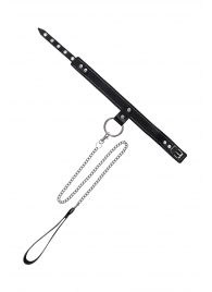 Черный узкий однослойный ошейник с серебристым поводком-цепочкой - Pecado - купить с доставкой в Сочи