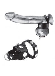 Утяжка для мошонки и пениса Cock Ring With 1  Ball Stretcher And Optional Weight Ring - BlueLine - купить с доставкой в Сочи
