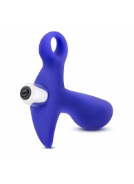Синий стимулятор простаты с ручкой-кольцом Performance Prostimulator 02 - Blush Novelties - в Сочи купить с доставкой