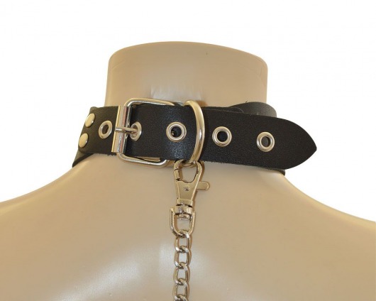 Ошейник  Веселый Роджер - Sitabella - купить с доставкой в Сочи