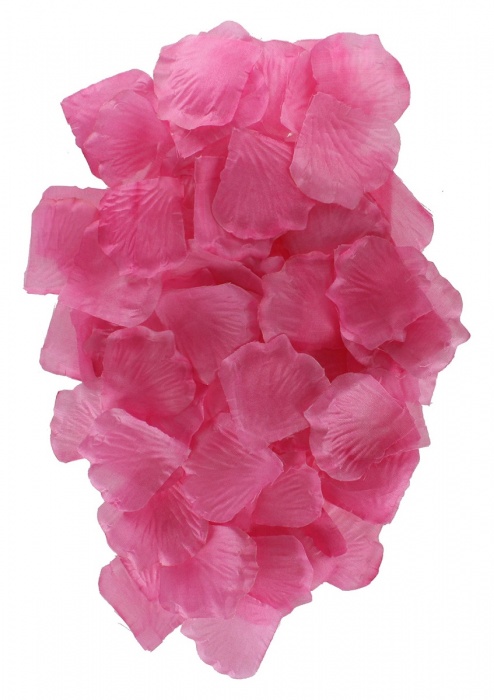 Эротический набор FANTASTIC PURPLE SEX TOY KIT - Toy Joy - купить с доставкой в Сочи