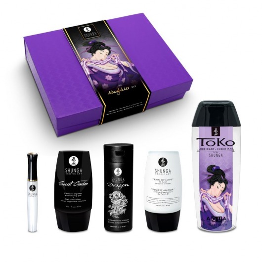 Подарочный набор Naughter Kit - Shunga - купить с доставкой в Сочи