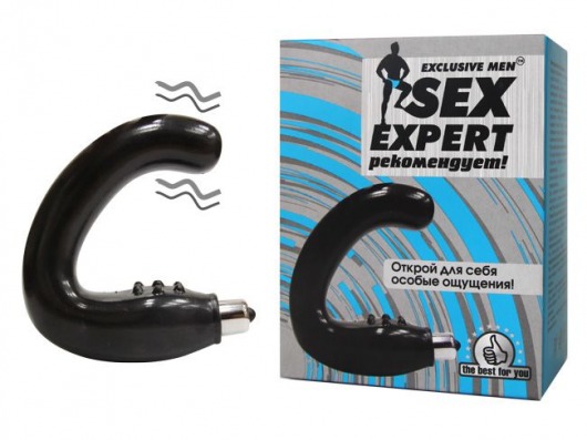 Чёрный массажёр простаты серии Sex Expert - Sex Expert - в Сочи купить с доставкой