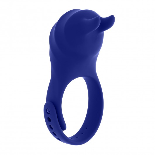 Синее эрекционное виброкольцо с клиторальной подушечкой и пультом ДУ Adjustable Fun Ring - Zero Tolerance - в Сочи купить с доставкой