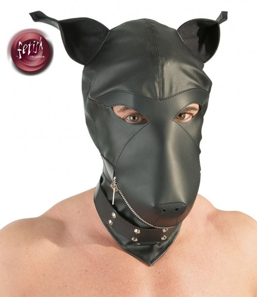 Шлем-маска Dog Mask в виде морды собаки - Orion - купить с доставкой в Сочи